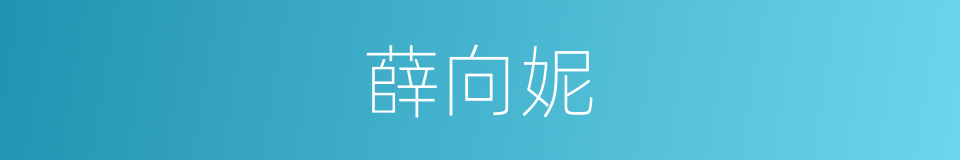 薛向妮的同义词