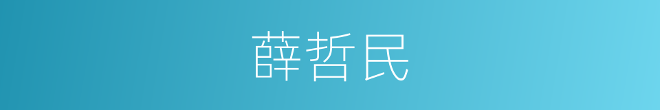 薛哲民的同义词