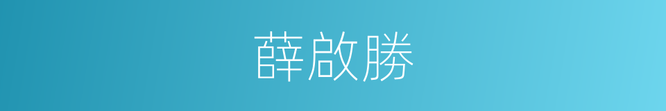 薛啟勝的同義詞