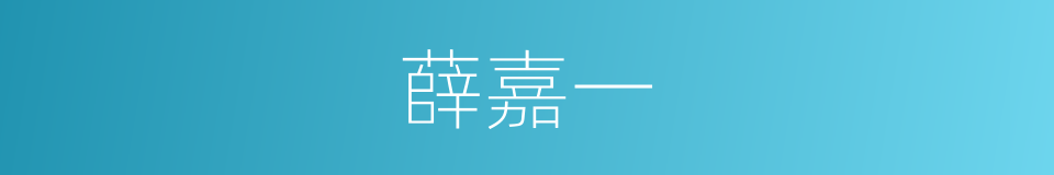 薛嘉一的同义词