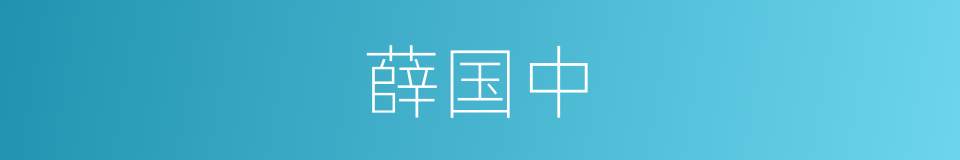 薛国中的同义词