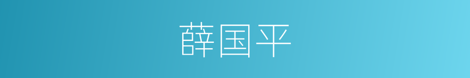 薛国平的同义词