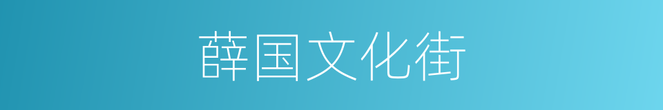 薛国文化街的同义词