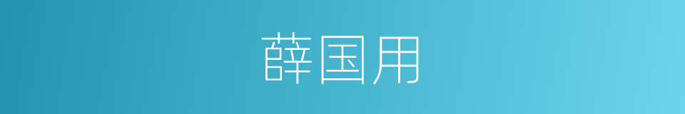 薛国用的同义词
