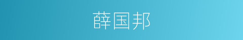 薛国邦的同义词