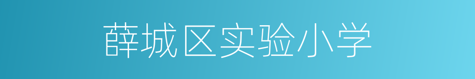 薛城区实验小学的同义词