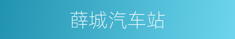 薛城汽车站的同义词