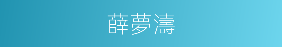 薛夢濤的同義詞