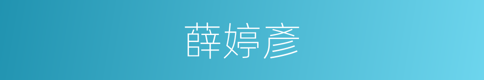 薛婷彥的同義詞