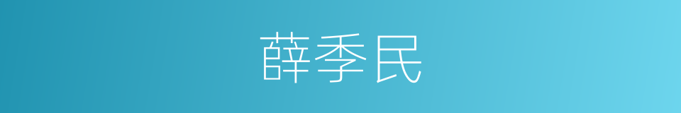 薛季民的同义词