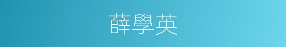 薛學英的同義詞