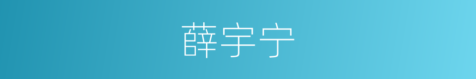 薛宇宁的同义词