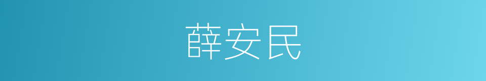 薛安民的意思