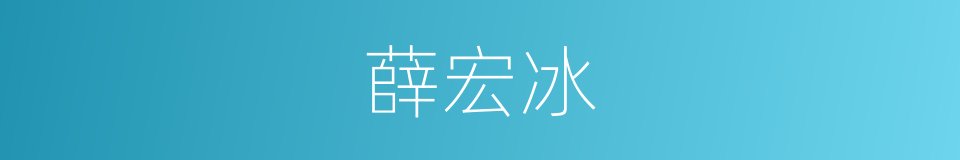 薛宏冰的同义词