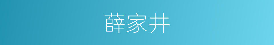 薛家井的同义词