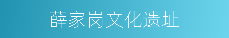 薛家岗文化遗址的同义词