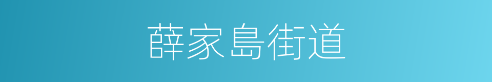 薛家島街道的同義詞