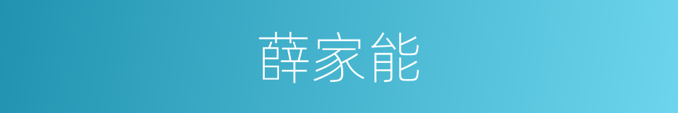 薛家能的同义词