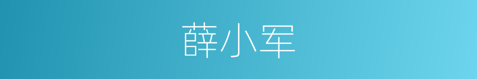 薛小军的同义词