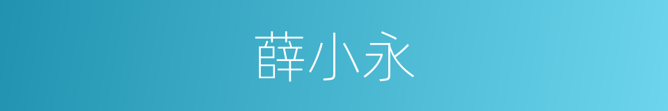 薛小永的同义词