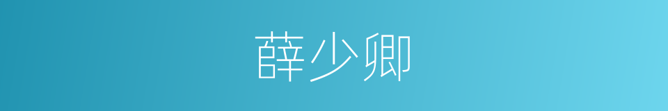 薛少卿的同义词