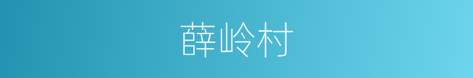 薛岭村的同义词