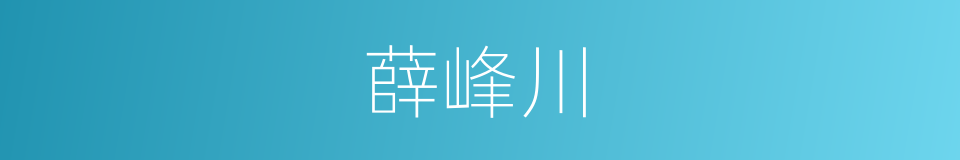 薛峰川的同义词