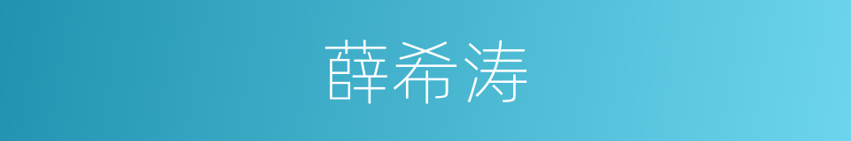 薛希涛的同义词
