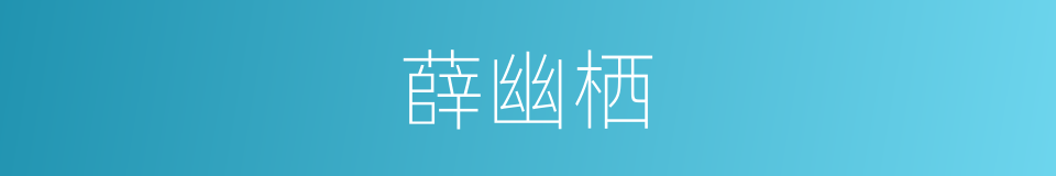 薛幽栖的同义词