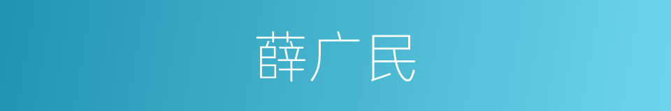 薛广民的同义词