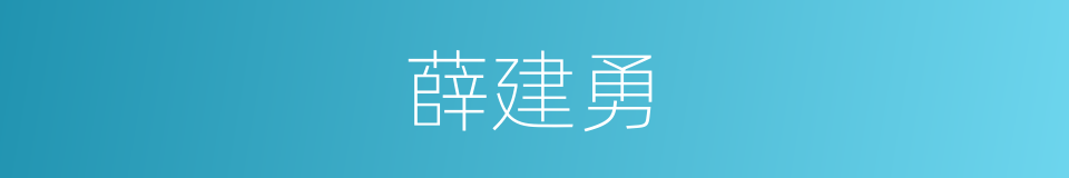 薛建勇的同义词