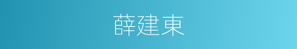 薛建東的同義詞