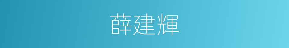 薛建輝的意思