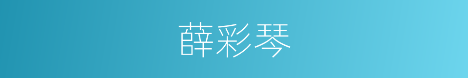 薛彩琴的同义词