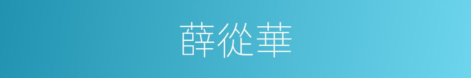 薛從華的同義詞