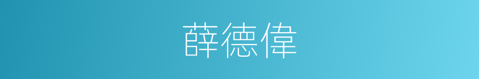 薛德偉的同義詞