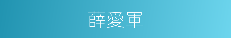薛愛軍的同義詞