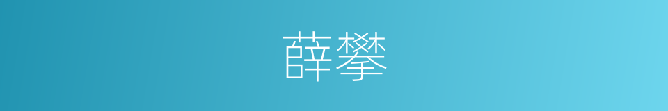 薛攀的同义词