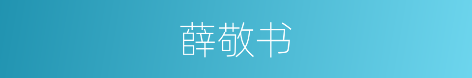 薛敬书的同义词
