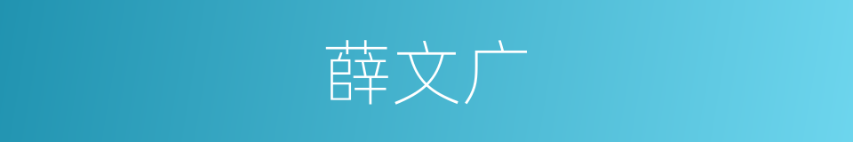 薛文广的同义词