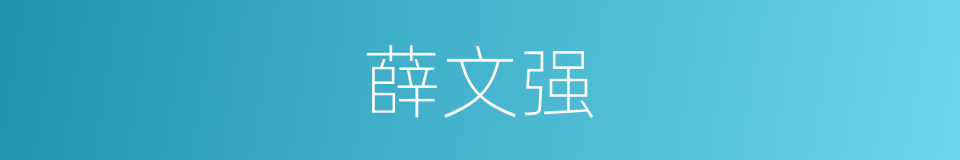 薛文强的同义词