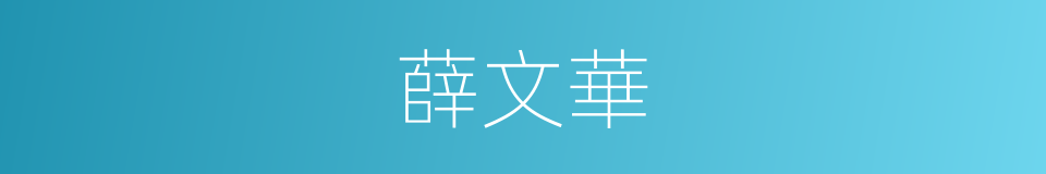 薛文華的同義詞