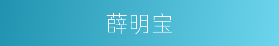 薛明宝的同义词
