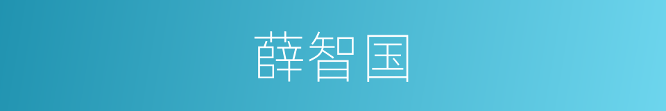 薛智国的意思