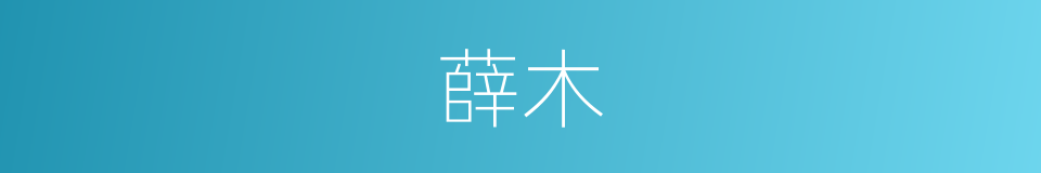 薛木的意思