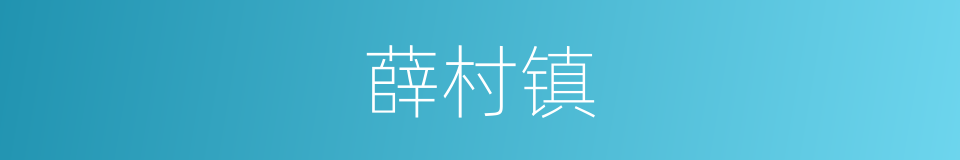 薛村镇的同义词