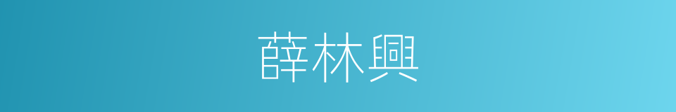 薛林興的同義詞
