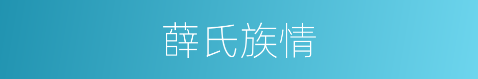 薛氏族情的同义词