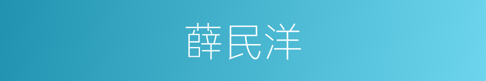 薛民洋的同义词