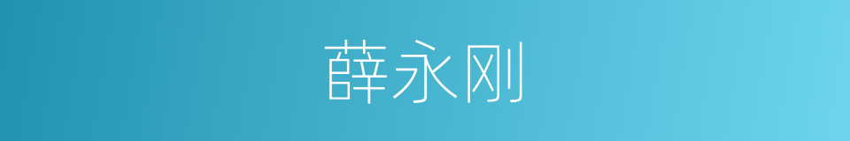 薛永刚的同义词